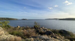 Läs mer om artikeln En stad mellan lax och punch